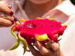 buah-naga____1.jpg