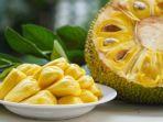 buah-nangka-1.jpg