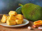 buah-nangka.jpg