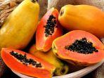 buah-pepaya-1.jpg