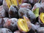 buah-plum-bermanfaat-untuk-atasi-hipertensi.jpg