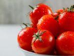 buah-tomat-4.jpg