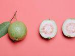 cara-mengolah-daun-jambu-biji-menjadi-teh.jpg