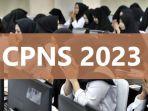 cek-formasi-calon-pegawai-negeri-sipil-atau-cpns-2023-di-72-instansi.jpg