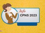 cpns-2023.jpg