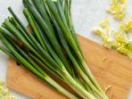 daun-bawang11.jpg