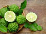 daun-jeruk-purut-dan-segudang-manfaatnya.jpg