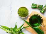 daun-pandan-1.jpg