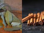 daun-salam-dan-kayu-manis-1.jpg