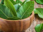 daun-salam.jpg