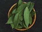 daun-salam1.jpg