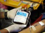donor-darah-4.jpg