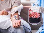 donor-darah-5.jpg