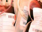 donor-darah.jpg
