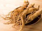 ginseng1.jpg