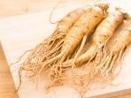 ginseng2.jpg