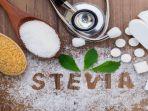 gula-stevia.jpg