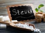 gula-stevia2.jpg