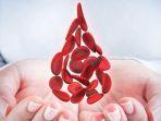 hemofilia-5.jpg