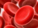 hemoglobin-1.jpg