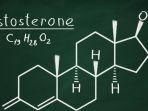 hormon-tetsosteron-4.jpg