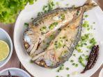 ikan-kembung3.jpg
