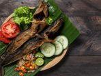 ikan-lele_1.jpg