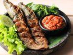 ikan-lele_2.jpg
