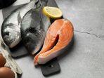 ikan-salmon-3.jpg