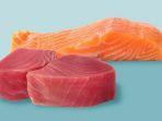 ikan-salmon-dan-tuna.jpg