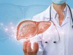 ilustrasi-alami-gangguan-liver.jpg