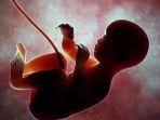 ilustrasi-bayi-di-dalam-kandungan-yang-dilindungi-air-ketuban.jpg