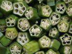 ilustrasi-bendi-atau-okra-bisa-menurunkan-kadar-gula-darah-2.jpg
