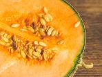 ilustrasi-buah-melon-kerap-dianggap-bisa-sebabkan-hipotensi.jpg