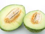 ilustrasi-buah-melon.jpg