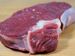 ilustrasi-daging-segar-2.jpg
