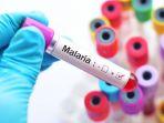 ilustrasi-diagnosis-penyakit-malaria.jpg
