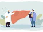 ilustrasi-dokter-menjelaskan-penyakit-liver.jpg