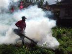 ilustrasi-fogging-yang-tidak-efektif-basmi-nyamuk-demam-berdarah.jpg