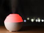 ilustrasi-humidifier-atau-pelembab-udara-punya-sejumlah-manfaat-untuk-kesehatan.jpg