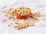 ilustrasi-kacang-arab-atau-chickpeas.jpg