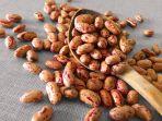 ilustrasi-kacang-pinto.jpg