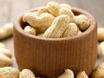 ilustrasi-kacang-tanah.jpg