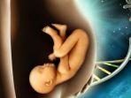 ilustrasi-keberhasilan-bayi-tabung.jpg