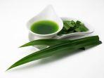 ilustrasi-khasiat-daun-pandan.jpg