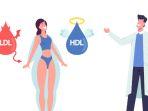 ilustrasi-kolesterol-hdl-dan-ldl.jpg