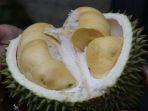 ilustrasi-manfaat-buah-durian.jpg