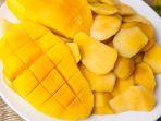 ilustrasi-mangga-1.jpg