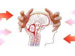 ilustrasi-meningitis-q.jpg