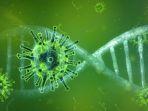 ilustrasi-mutasi-virus-corona.jpg